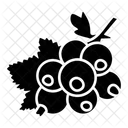 Black Currant  Icon
