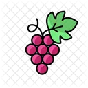 Grape Winery Wine Icon
