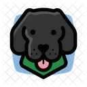 Black Dog Labrador Black Icon