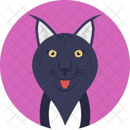 Black Feline Icon