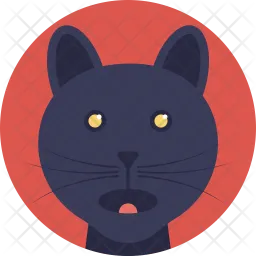 Black Feline  Icon