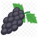 Black Grapes  Icon