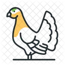 Black Grouse Bird Wildlife Icon