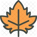 Black Maple Maple Leaf Icon