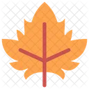 Black Maple  Icon