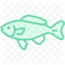 Black Molly Fish Scottishfold Cat Icon