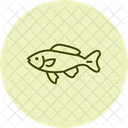 Black Molly Fish Blackmollyfish Pet Icon