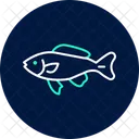 Black Molly Fish Blackmollyfish Pet Icon