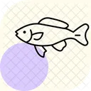 Black Molly Fish Blackmollyfish Pet Icon