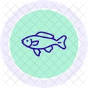 Black Molly Fish Icon