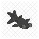 Black moor goldfish  Icon
