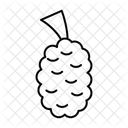 Black Mulberry  Icon