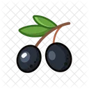 Black Olives Icon