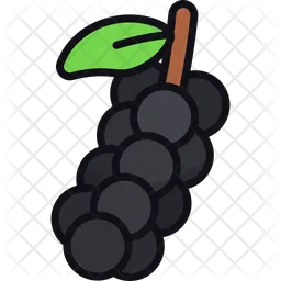 Black pepper  Icon