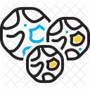 Black Pepper Black Pepper Icon