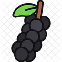 Black pepper  Icon