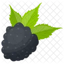 Black Raspberry Raspberry Berry Fruit Icon