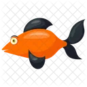 Black Smudge Goldfish Icon