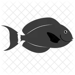 Black Surgeon Fish  Icon