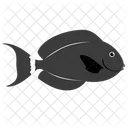 Black Surgeon Fish Icon
