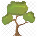 Black Willow Tree  Icon