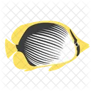 Blackback Butterfly Fish Icon