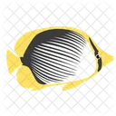 Blackback Butterfly Fish Sea Creature Animal Icon
