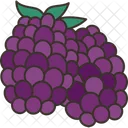 Blackberries Grapes Fruit Icon