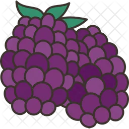 Blackberries  Icon