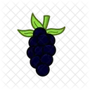 Blackberries  Icon