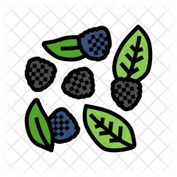 Blackberries Bunch  Icon