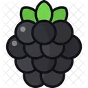 Blackberry Berries Diet Icon