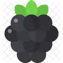 Blackberry Berries Fruit Icon