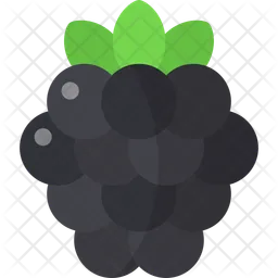 Blackberry  Icon