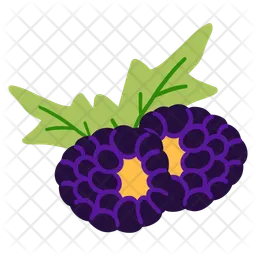 Blackberry  Icon