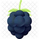 Blackberry  Icon