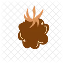 Blackberry  Icon
