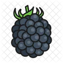 Blackberry  Symbol