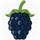Blackberry Fruit Food Icon