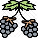 Blackberry Blackberry Fruit Fruit Icon