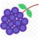 Blackberry Berry Grape Icon
