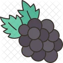Blackberry Berry Ingredient Icon