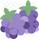 Blackberry Berry Fruit Icon