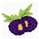 Blackberry  Icon
