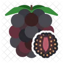 Blackberry  Icon