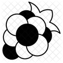 Blackberry  Icon