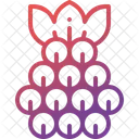 Blackberry  Icon