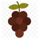 Blackberry  Icon