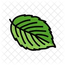Blackberry Leaf  Icon