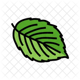 Blackberry Leaf  Icon